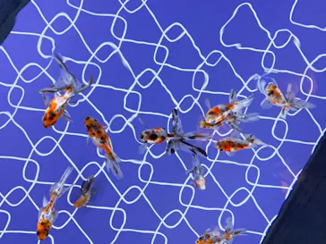 すみだ水族館に投稿された画像（2021/9/25）