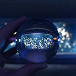 新江ノ島水族館に投稿された画像（2021/9/25）