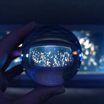 新江ノ島水族館に投稿された画像（2021/9/25）