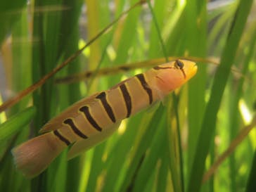 新江ノ島水族館に投稿された画像（2021/9/25）