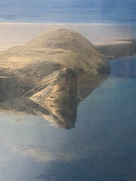 新江ノ島水族館に投稿された画像（2021/9/25）