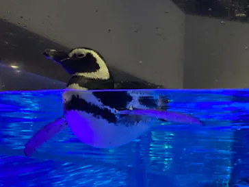 すみだ水族館に投稿された画像（2021/9/25）