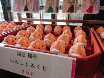 京都ミステリー紀行に投稿された画像（2021/9/25）