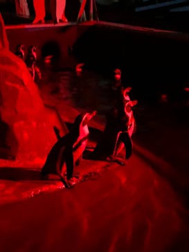 南知多ビーチランド＆南知多おもちゃ王国に投稿された画像（2021/9/25）