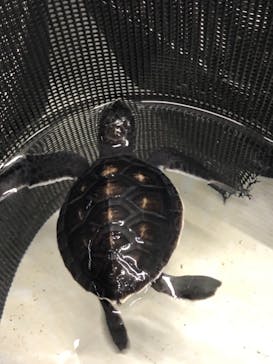 南知多ビーチランド＆南知多おもちゃ王国に投稿された画像（2021/9/25）