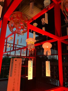 京都水族館に投稿された画像（2021/9/25）