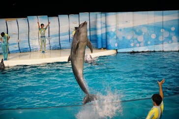 新江ノ島水族館に投稿された画像（2021/9/25）