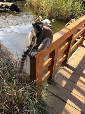 神戸どうぶつ王国に投稿された画像（2021/9/25）