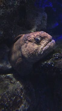 新江ノ島水族館に投稿された画像（2021/9/25）