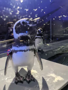 すみだ水族館に投稿された画像（2021/9/25）