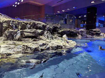 すみだ水族館に投稿された画像（2021/9/25）