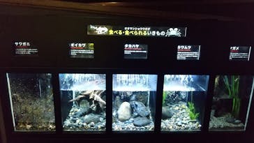 京都水族館に投稿された画像（2021/9/25）