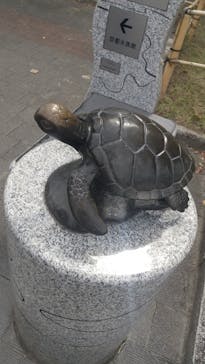 京都水族館に投稿された画像（2021/9/25）