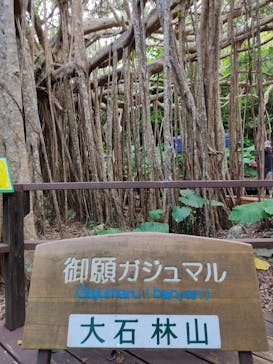 アスムイハイクスに投稿された画像（2021/9/25）