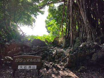 アスムイハイクスに投稿された画像（2021/9/25）