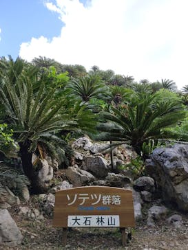 アスムイハイクスに投稿された画像（2021/9/25）