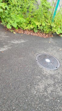 マクセル アクアパーク品川に投稿された画像（2021/9/25）