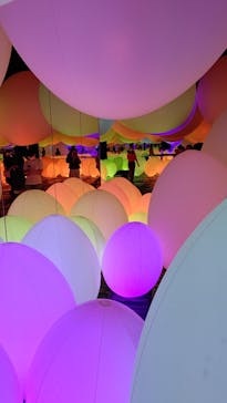 森ビル デジタルアート ミュージアム：エプソン チームラボボーダレスに投稿された画像（2021/9/25）