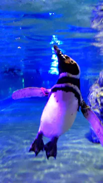 すみだ水族館に投稿された画像（2021/9/25）