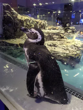 すみだ水族館に投稿された画像（2021/9/25）
