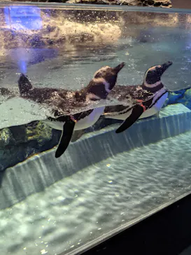 すみだ水族館に投稿された画像（2021/9/25）