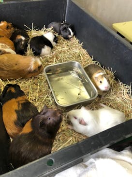 アロハガーデンたてやまに投稿された画像（2021/9/25）