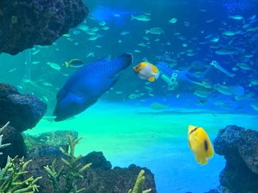 サンシャイン水族館に投稿された画像（2021/9/25）