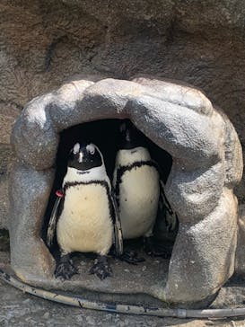 サンシャイン水族館に投稿された画像（2021/9/25）