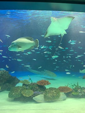 サンシャイン水族館に投稿された画像（2021/9/25）
