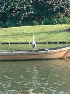 三溪園に投稿された画像（2021/9/26）