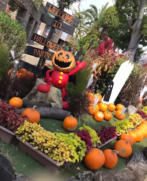 ひらかたパークに投稿された画像（2021/9/26）