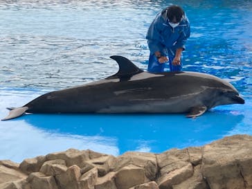 名古屋港水族館に投稿された画像（2021/9/26）
