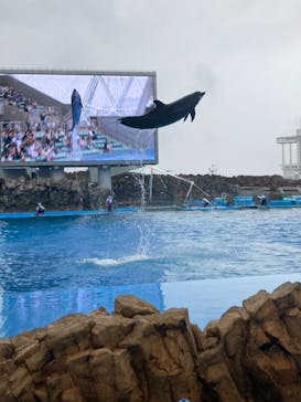 名古屋港水族館に投稿された画像（2021/9/26）