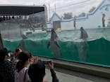 しながわ水族館に投稿された画像（2021/9/26）