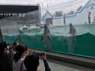 しながわ水族館に投稿された画像（2021/9/26）