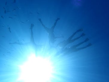 マリンクラブジジに投稿された画像（2021/9/26）