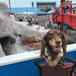 南知多ビーチランド＆南知多おもちゃ王国に投稿された画像（2021/9/26）