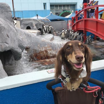 南知多ビーチランド＆南知多おもちゃ王国に投稿された画像（2021/9/26）