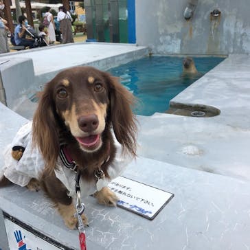 南知多ビーチランド＆南知多おもちゃ王国に投稿された画像（2021/9/26）