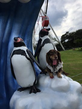 南知多ビーチランド＆南知多おもちゃ王国に投稿された画像（2021/9/26）