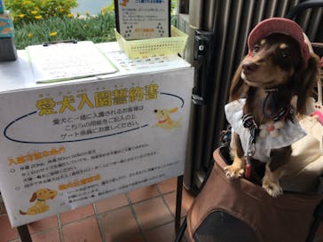 南知多ビーチランド＆南知多おもちゃ王国に投稿された画像（2021/9/26）