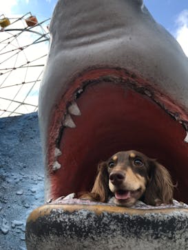 南知多ビーチランド＆南知多おもちゃ王国に投稿された画像（2021/9/26）