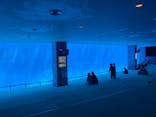 名古屋港水族館に投稿された画像（2021/9/26）