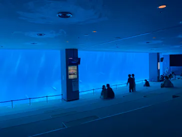名古屋港水族館に投稿された画像（2021/9/26）