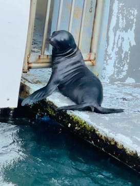 南知多ビーチランド＆南知多おもちゃ王国に投稿された画像（2021/9/26）