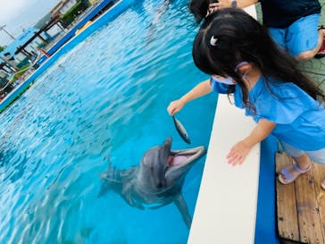 南知多ビーチランド＆南知多おもちゃ王国に投稿された画像（2021/9/26）