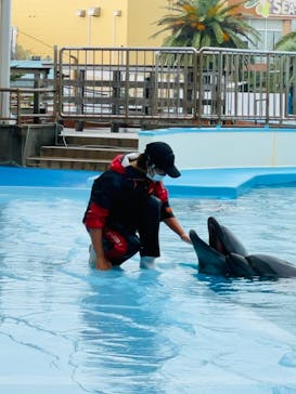 南知多ビーチランド＆南知多おもちゃ王国に投稿された画像（2021/9/26）