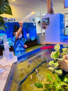 南知多ビーチランド＆南知多おもちゃ王国に投稿された画像（2021/9/26）