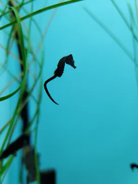 仙台うみの杜水族館に投稿された画像（2021/9/26）