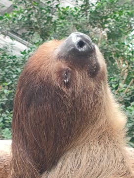 神戸どうぶつ王国に投稿された画像（2021/9/26）